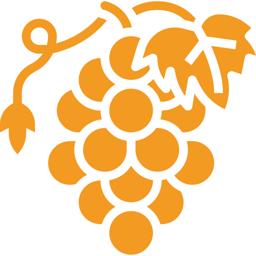 viñedo
